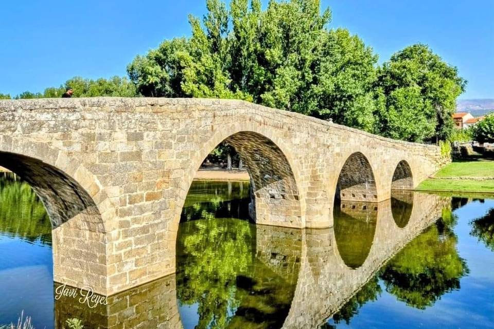 PUENTE ROMANICO