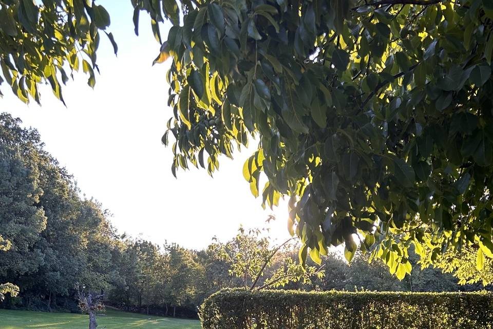 JARDIN