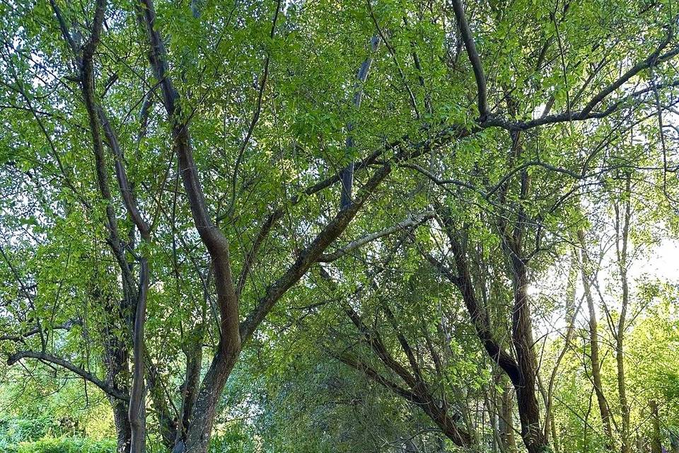 JARDINES