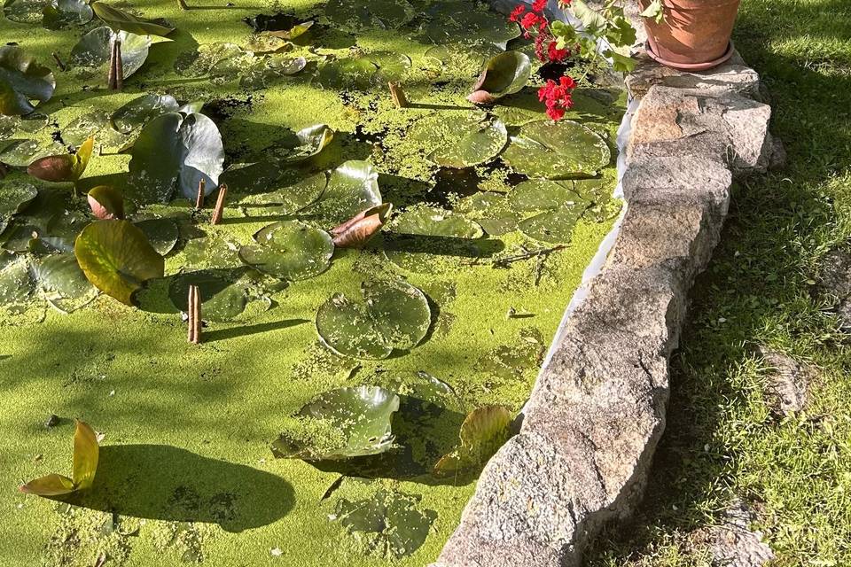 JARDIN