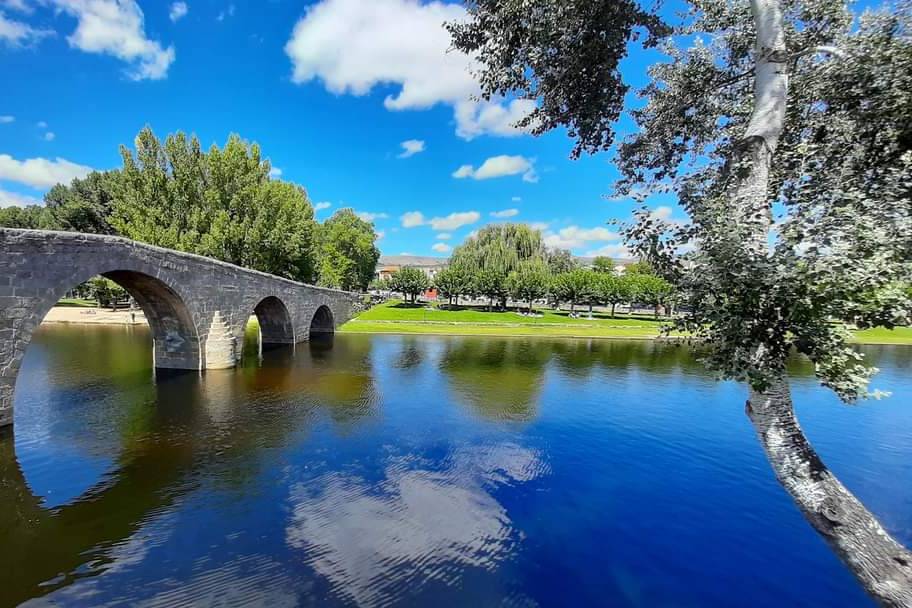 PUENTE NAVALUENGA