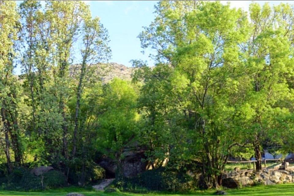 JARDIN