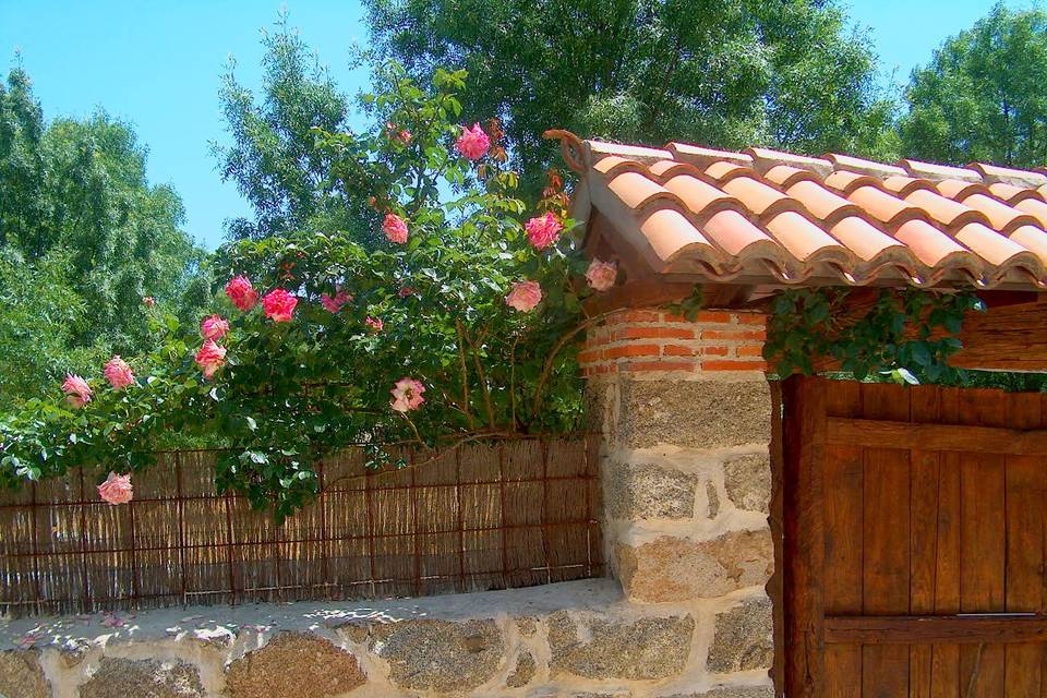 CASA I