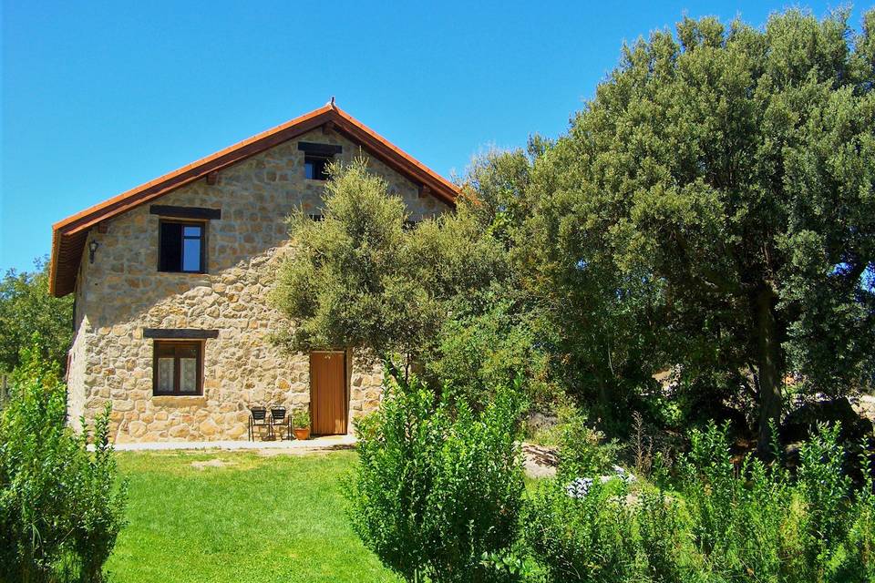 CASA III