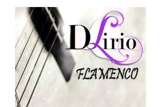 D'Lirio Grupo Flamenco