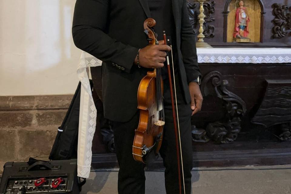 Violín