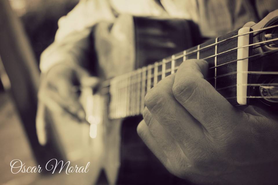 Guitarrista