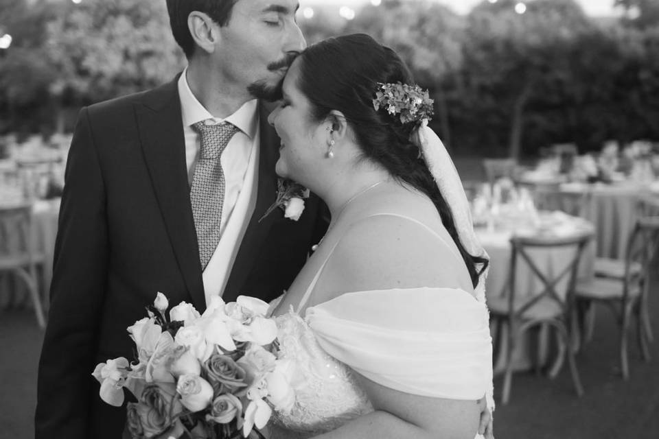 Novios