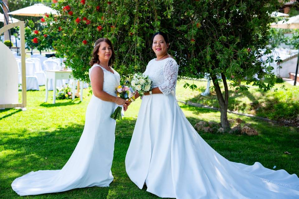 Novias