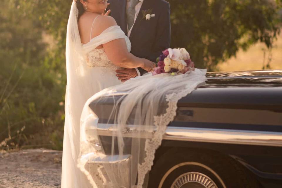 Novios