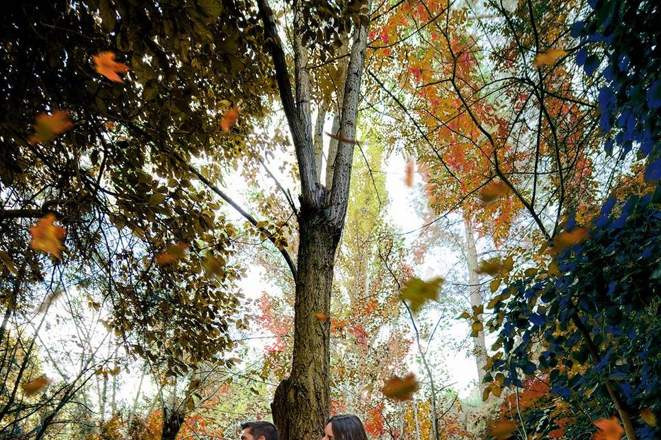 Postboda en la naturaleza