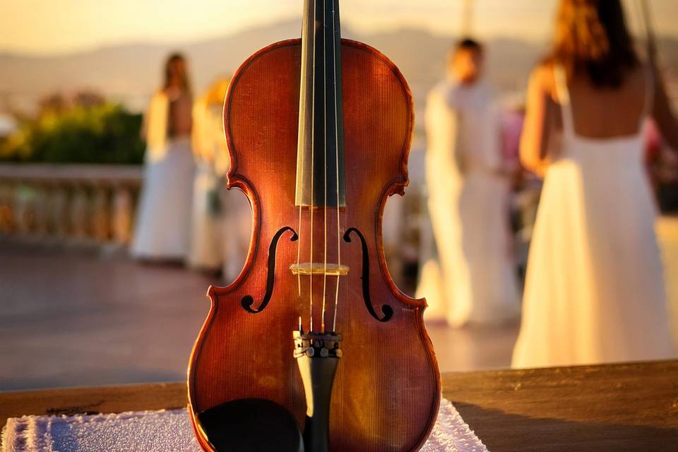 Violín