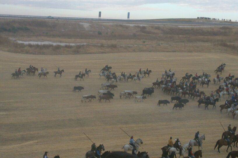 Encierro por el campo