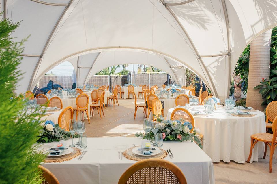 Zona Carpas