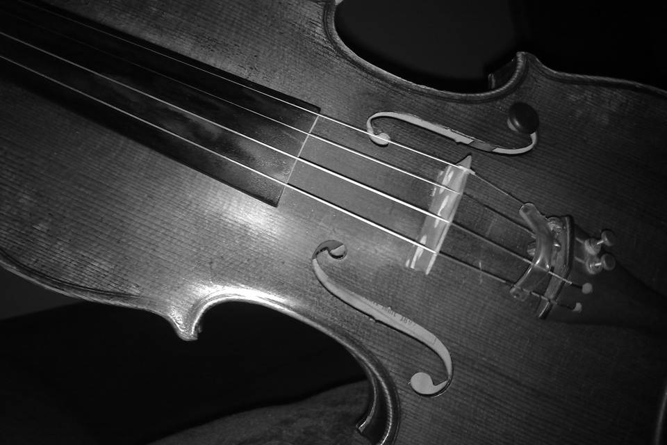 Violín