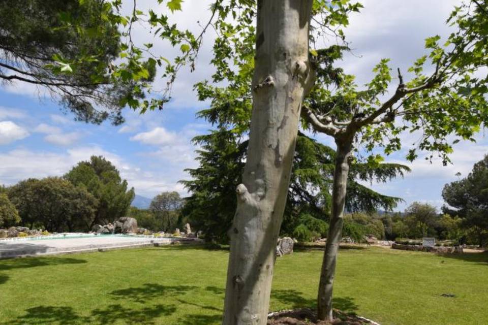 Jardin