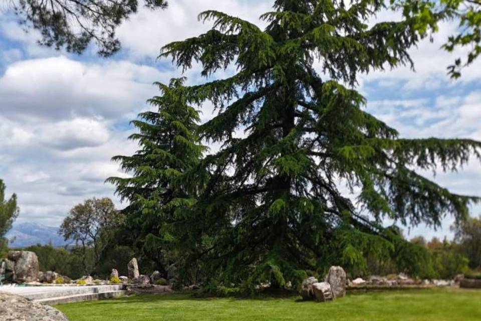 Jardín