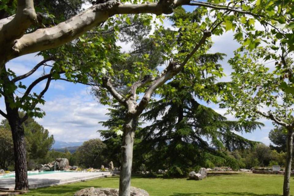Jardín