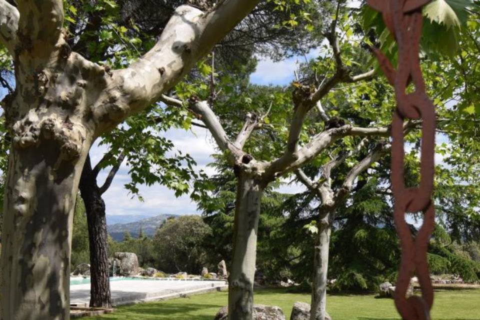 Jardin