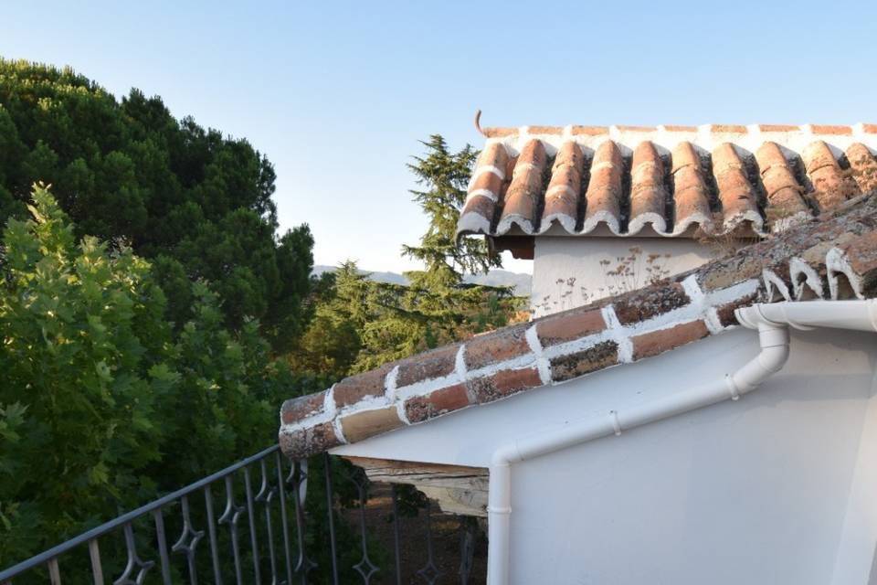 Terraza