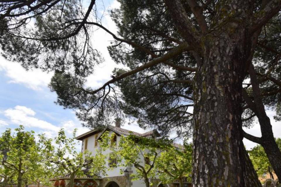 Finca