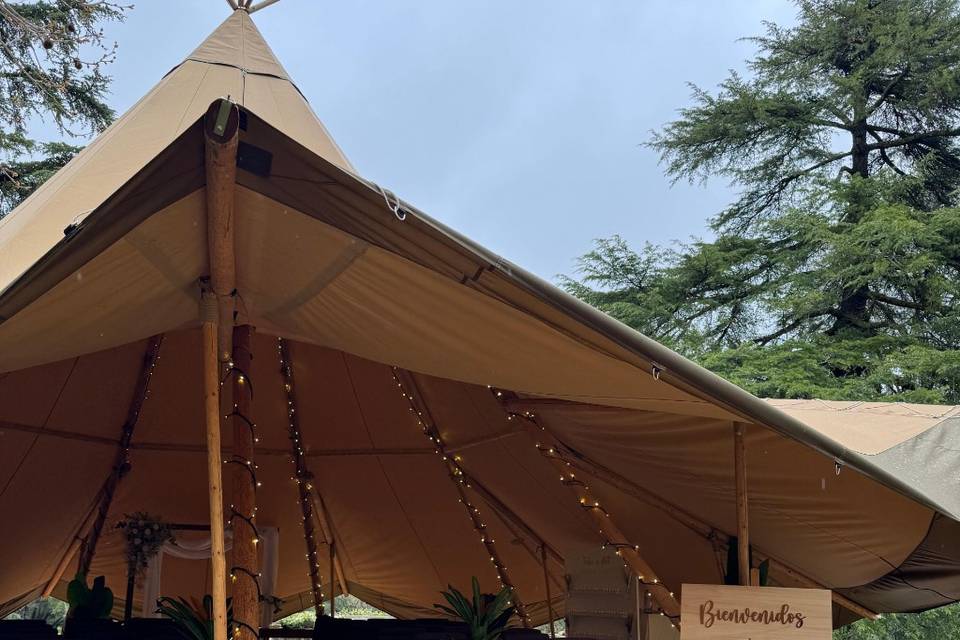 Tipi