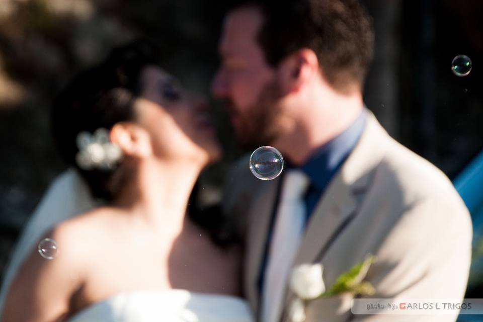 Trash the dress