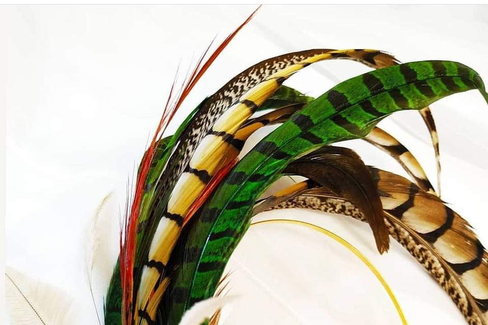 Diadema de plumas