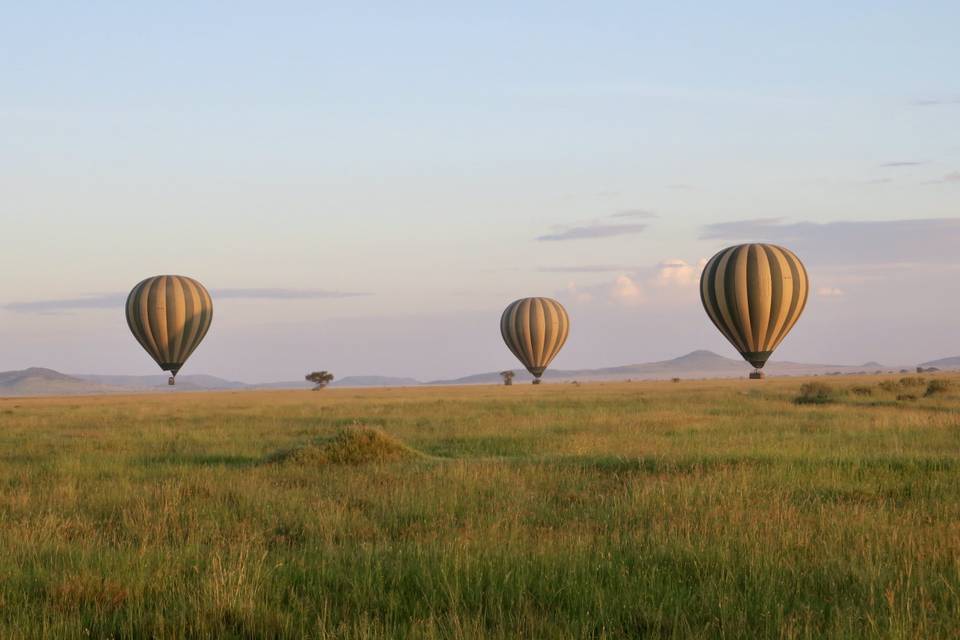 Safari en globo. Serengeti