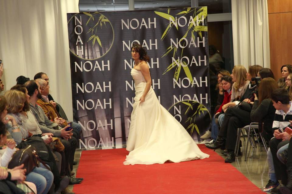 Noah - Belleza capilar