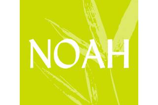 Noah Logotipo