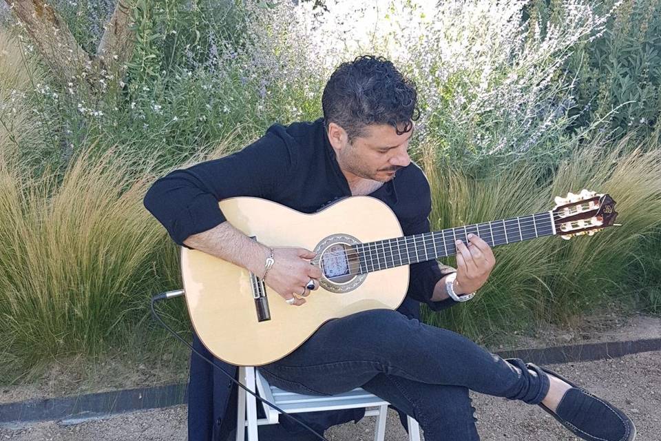 Guitarra española y flamenco