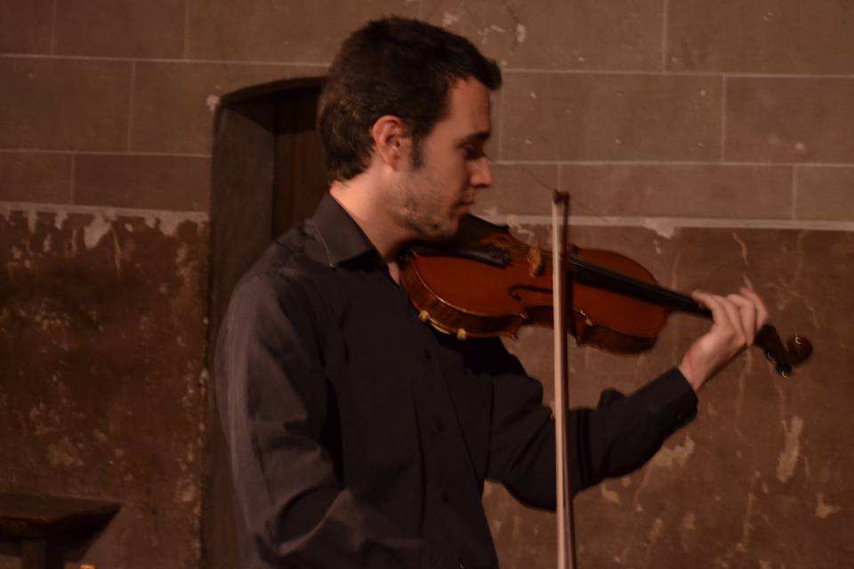 Violinista