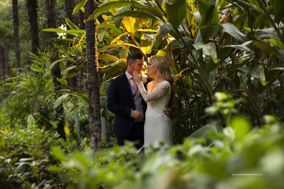 Fotos de boda