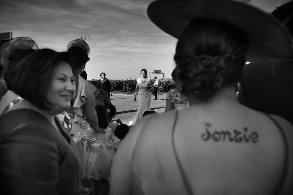 Fotos de boda