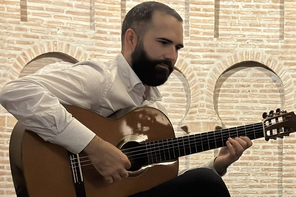 Músico profesional