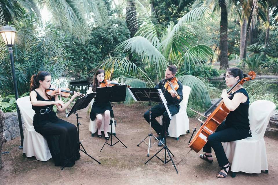 Cuarteto de cuerdas