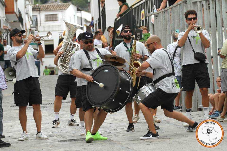 Street Band