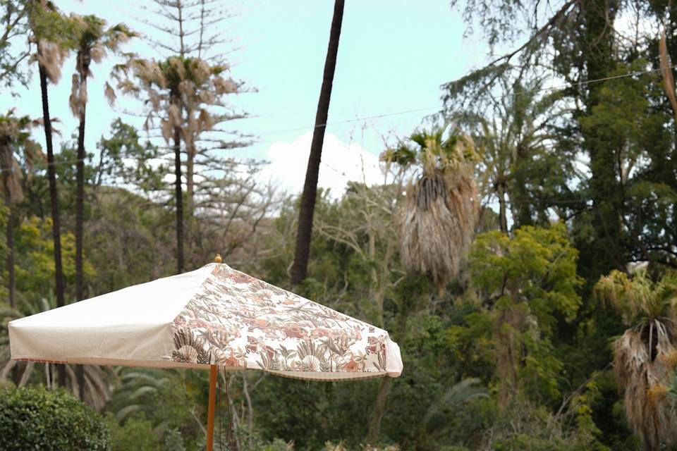 Silla Dominicana