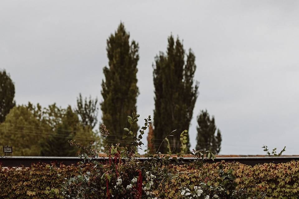 Ceremonia en Jardín