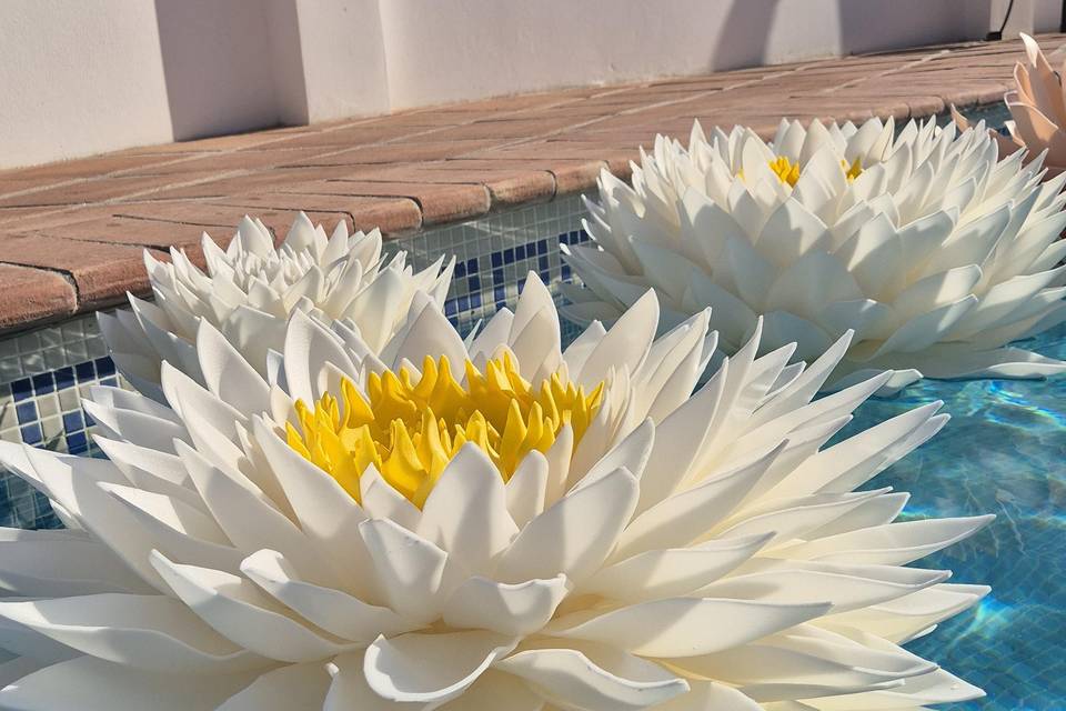 Lotuses de 90 cm