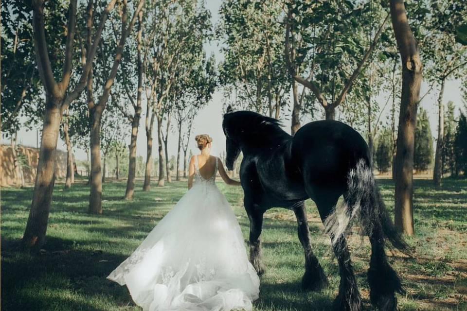 Entrada de la novia a caballo