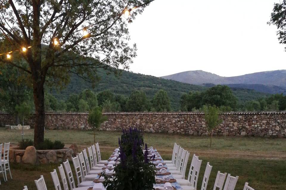 Mesa larga con silla tifany