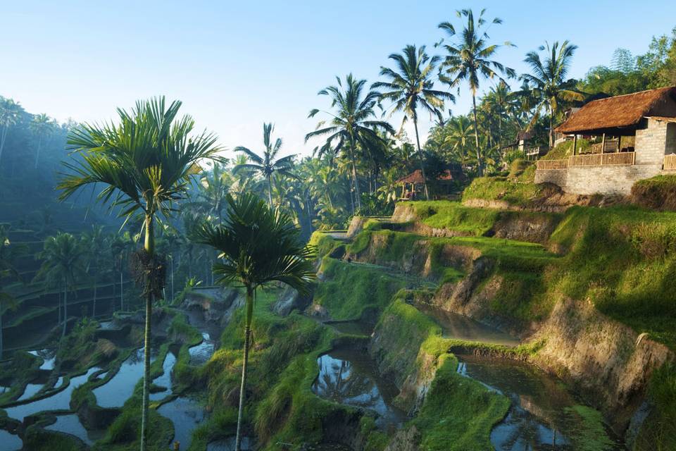 Viaje a Bali