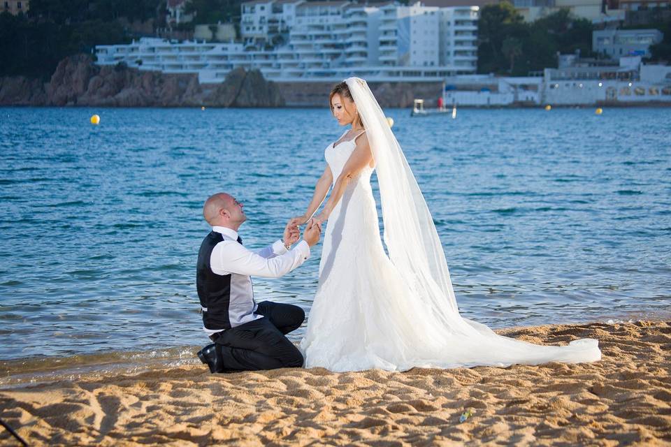 Novios Postboda