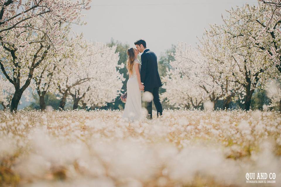 Postboda almendros en flor