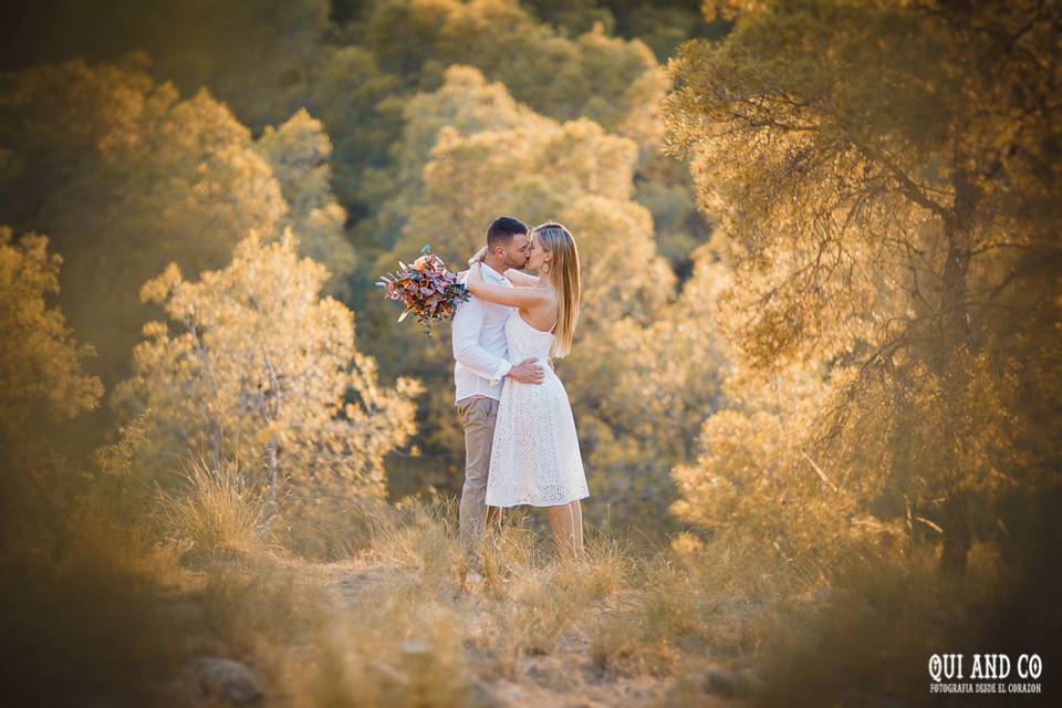 Preboda en el campo