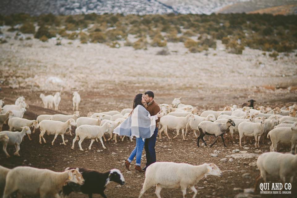 Preboda en invierno