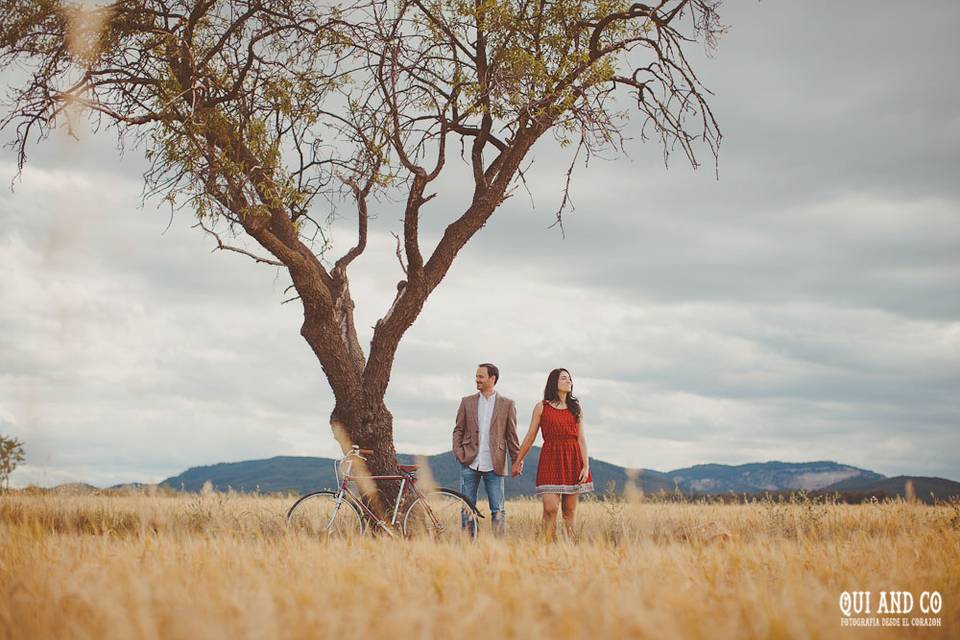 Sesión preboda en el campo