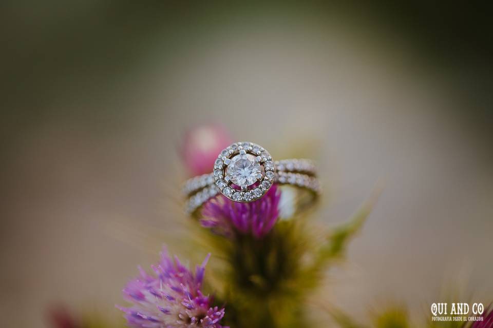 Detalle anillo compromiso